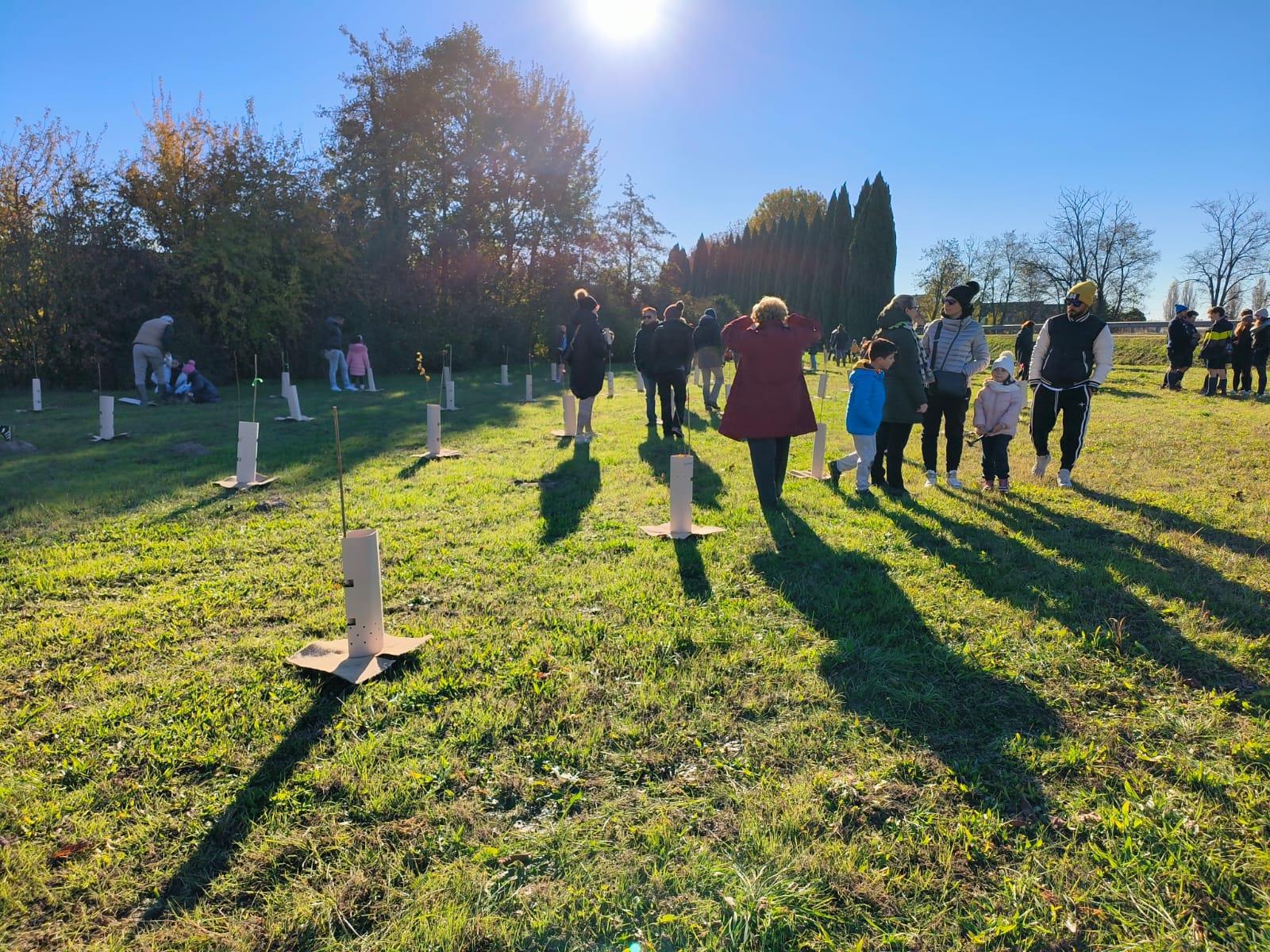 To Make a Tree - Primary School of Angiari (IT)